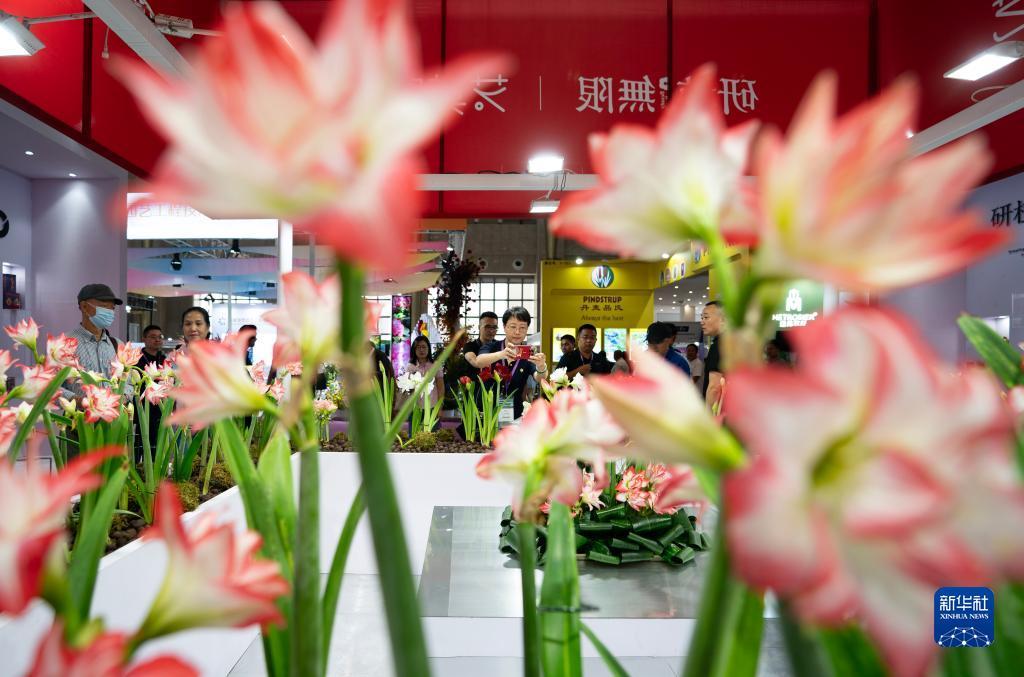 吉祥航空官网登陆